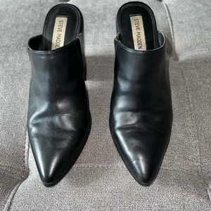 Steve Madden Savina Black Pointed Toe Mule